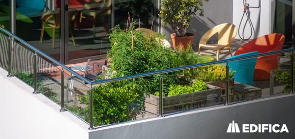 Consejos para tener plantas en la terraza de tu departamento