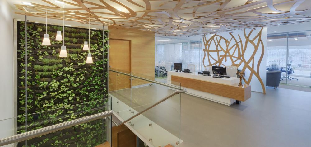 ¿Conoces qué es una oficina ecológica? Te contamos todo sobre ellas