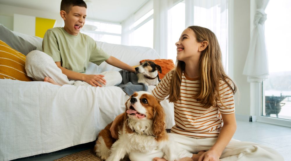 beneficios departamento pet friendly