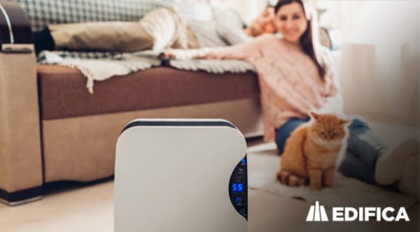 ¿Cómo combatir la humedad en mi departamento? 7 medidas que puedes tomar