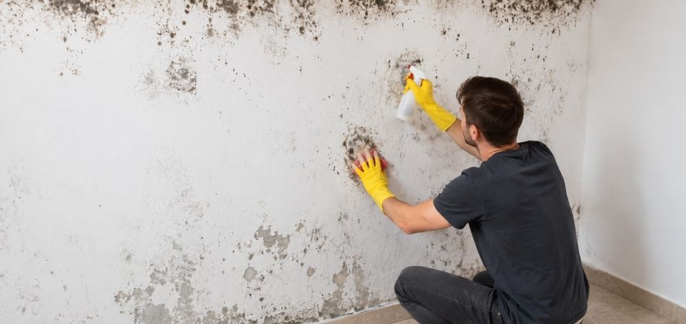 ¿Por qué aparece humedad en las paredes? Causas y soluciones como eliminar humedad interior casa