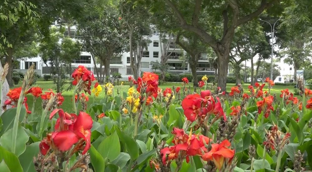 parque federico blume barranco