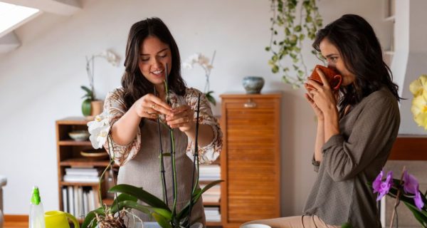 ¿Cómo hacer tu departamento ecológico? Guía práctica para un hogar sostenible