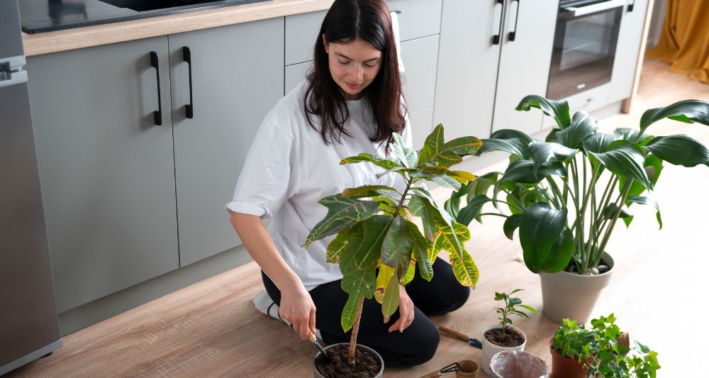 mejores plantas departamentos grandes