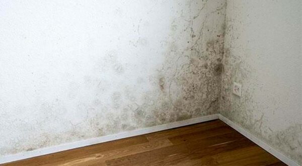 ¿Cómo quitar la humedad de las paredes y por qué se produce?