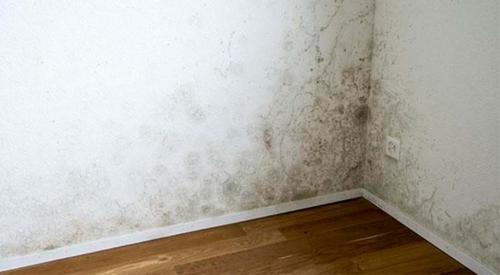 Como quitar la humedad de las paredes y por qué se produce