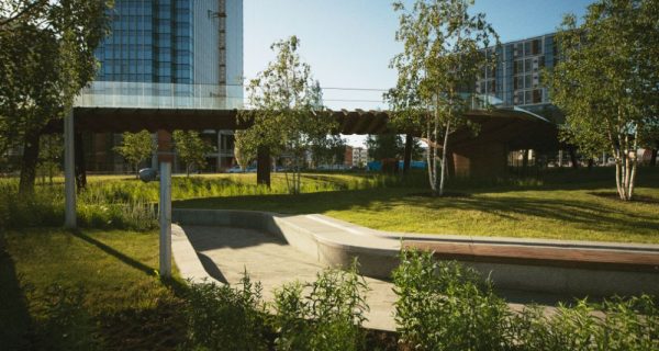 7 razones por las que los espacios verdes son importantes