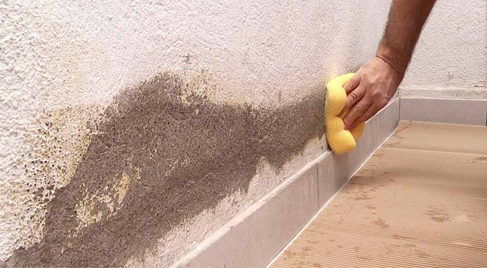 Como secar las paredes húmedas de manera rápida